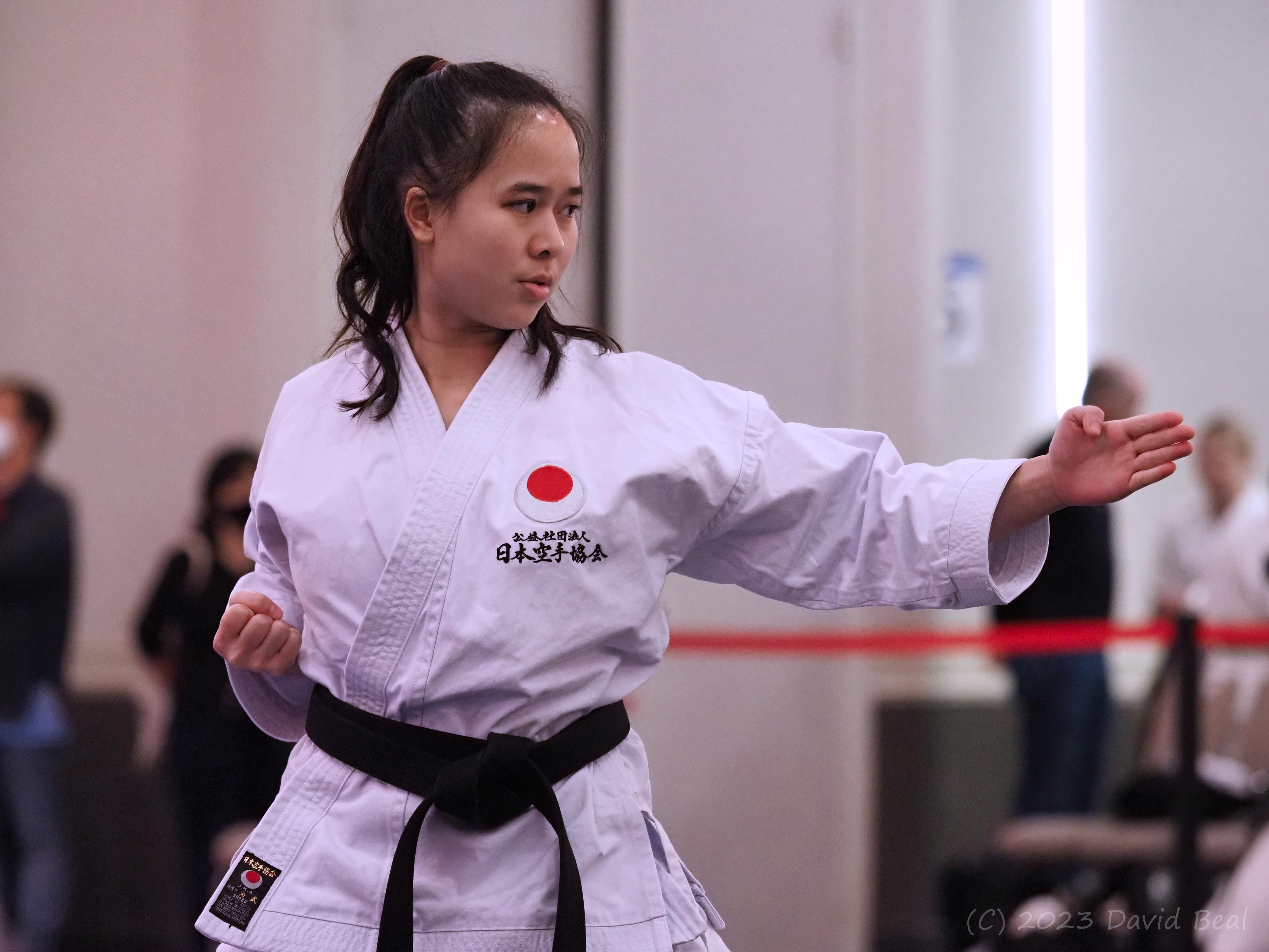 Black belt performing kata at a JKA tournament