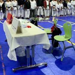 Volunteer Sign-up: Sensei Hirayama Seminar